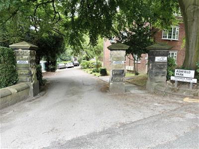 Picture 17